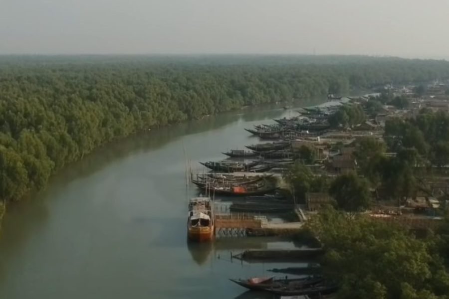 Sundarban Tour Package from Khulna by AC Ship